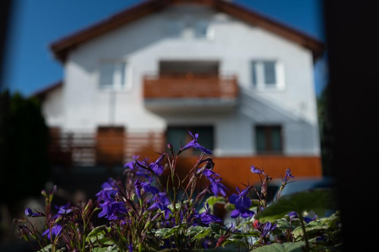 Apartamenty Karkonosze Gory Izerskie 佩霍维采 外观 照片